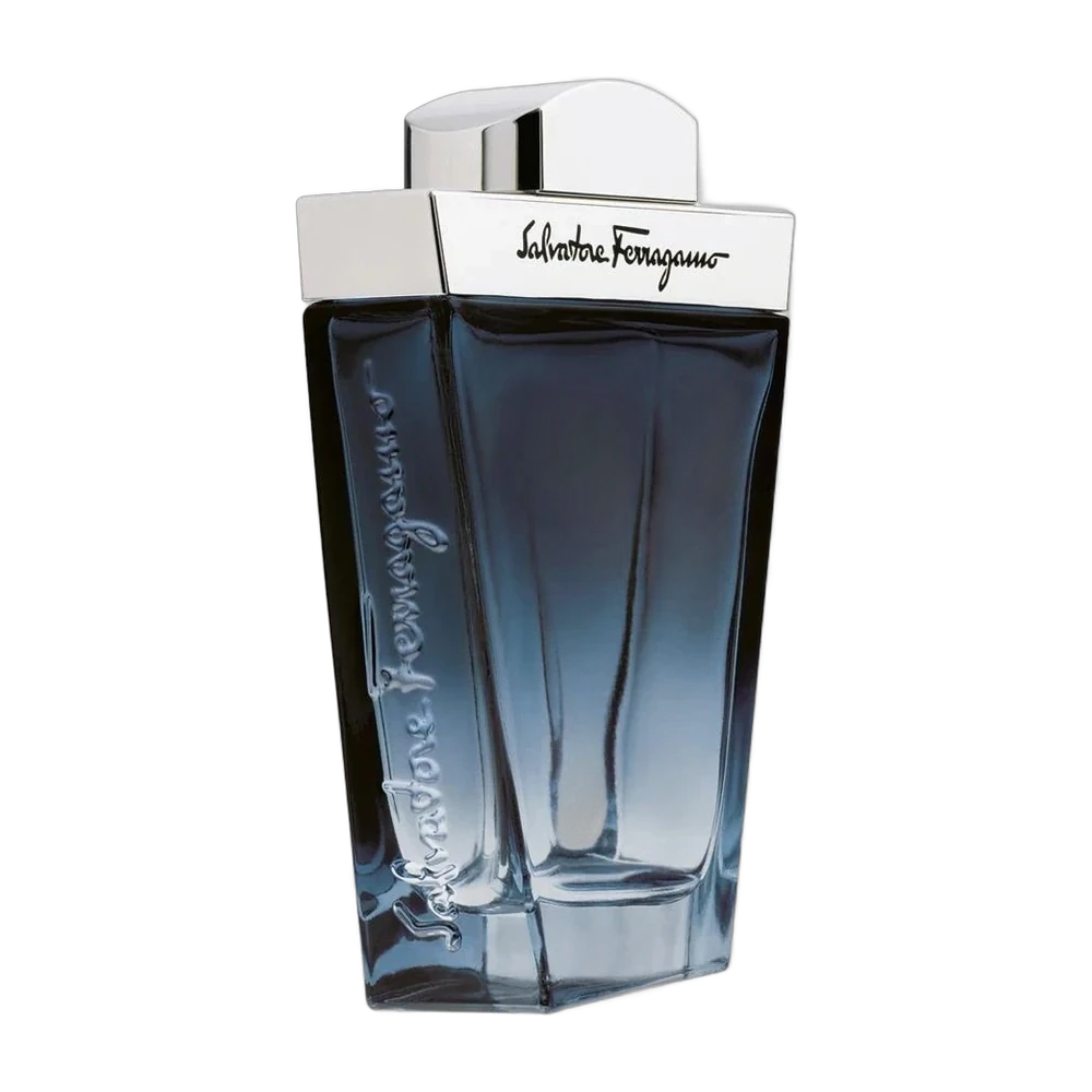 Flakon Salvatore Ferragamo Subtil Pour Homme