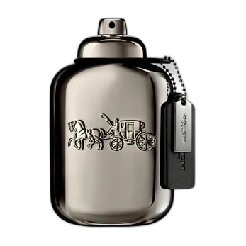 Flakon Coach Pure Platinum